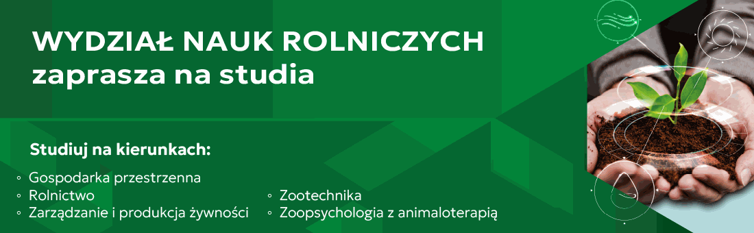 Nasza oferta kierunków studiów